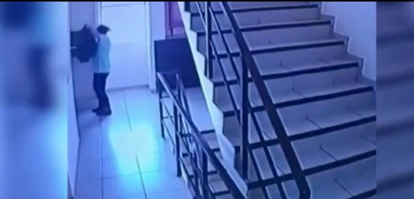 Rescatan a perrita que fue lanzada por un ducto de basura en Antofagasta 