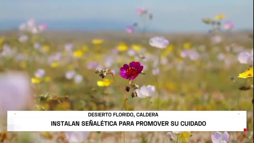 Instalan señalética para promover el cuidado del desierto florido