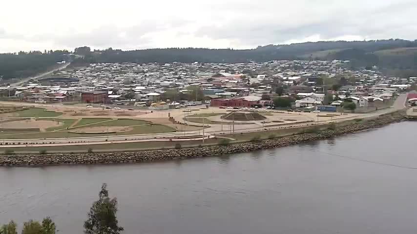 Aumentan inversiones fiscales en Arauco