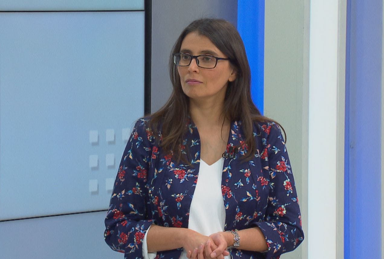 Dir. Ejecutiva Microdatos U.Chile: En el sector de Gobierno y financiero es donde está creciendo más el trabajador