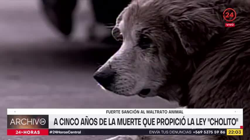 Archivo 24: A cinco años de la muerte que propició la Ley Cholito