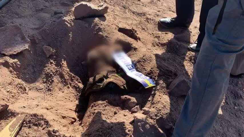 Investigan un nuevo caso de maltrato animal en Antofagasta