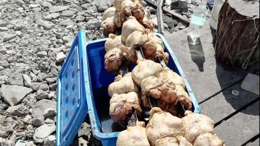 Sorprenden “asadero” clandestino de pollos en Copiapó