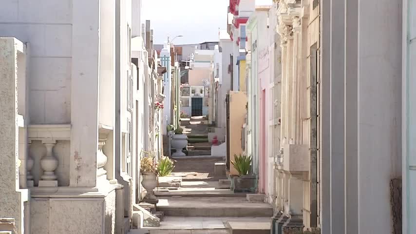 Día de todos los santos 