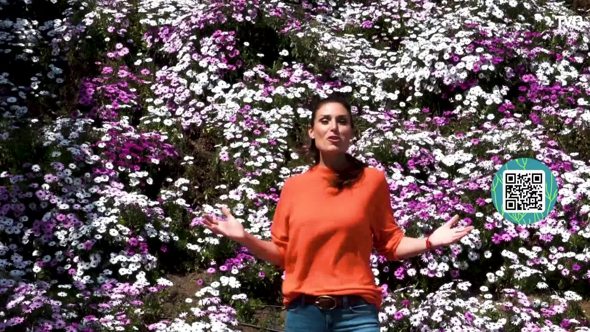 ¿Cuál es tu huella? - Los tipos de familia