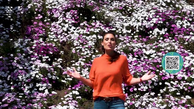 ¿Cuál es tu huella? - Los tipos de familia