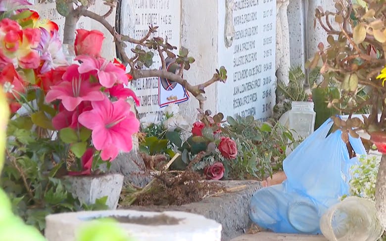 Origen, significado y tradiciones: Profesora Ximena Prado nos explica el Día de Todos los Santos
