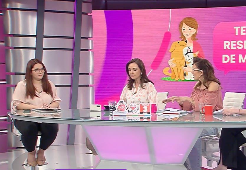 ¿Qué deberes tengo si soy responsable de una mascota?