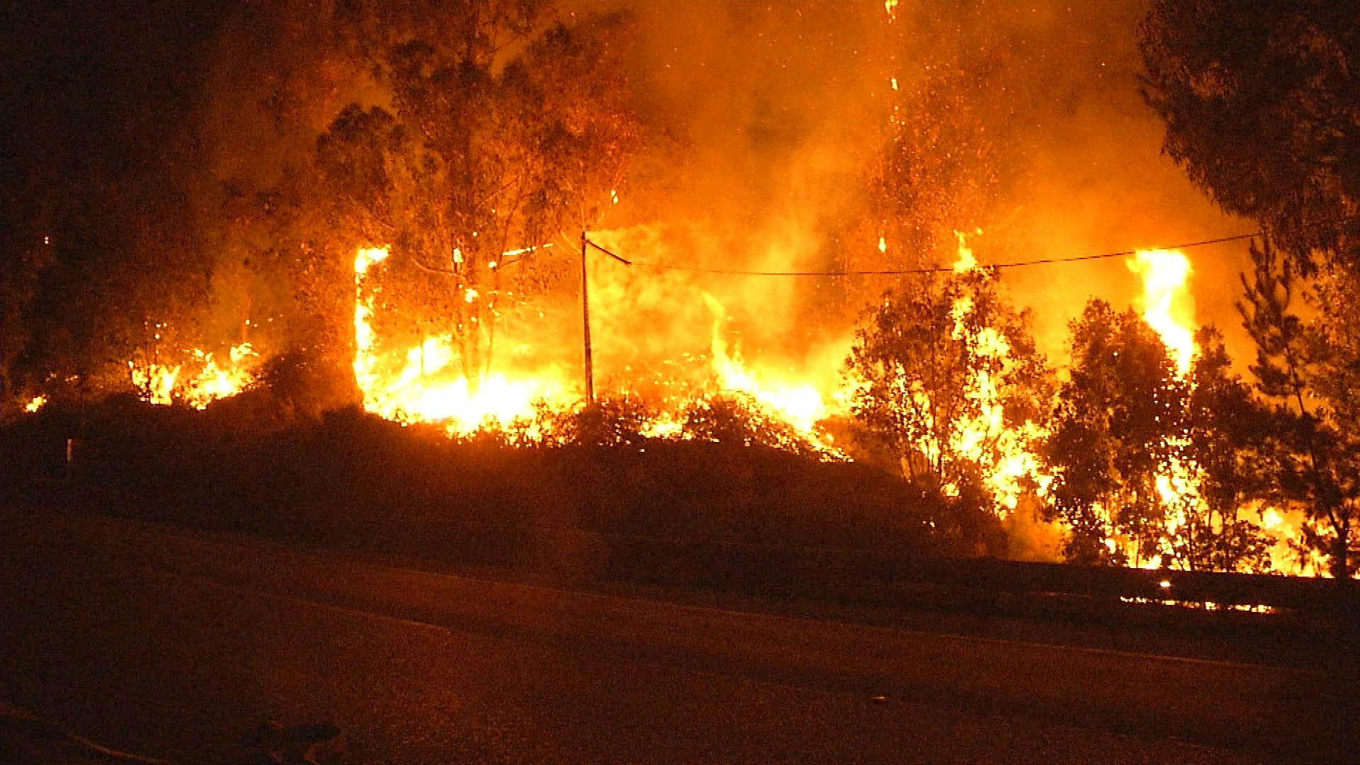 Se acrecenta riesgo de incendios forestales ante alto nivel de vegetación combustible en laderas 