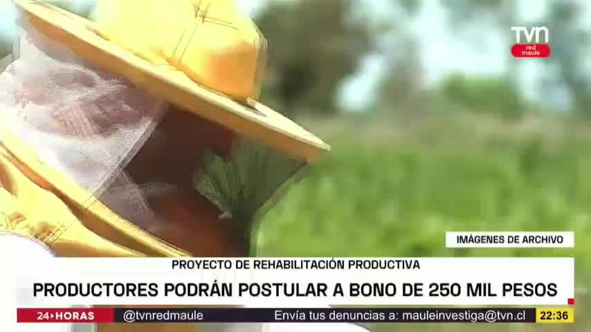 Productores podrán postular a bono de 250 mil pesos