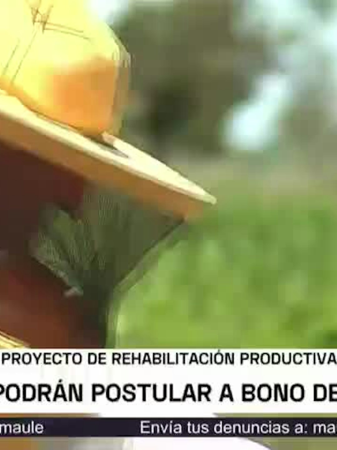 Productores podrán postular a bono de 250 mil pesos