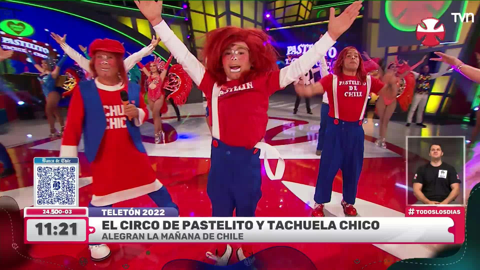 Presentación de Pastelito y Tachuela Chico