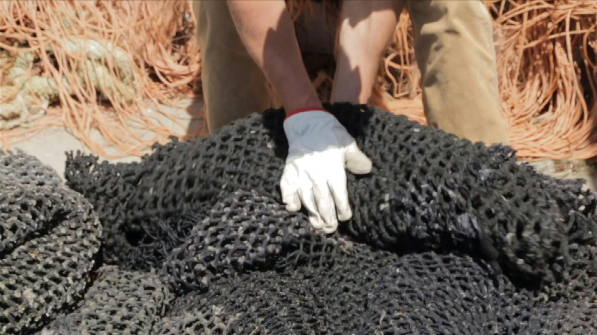 Impulsan programa de reciclaje de redes de pesca para favorecer descontaminación marina