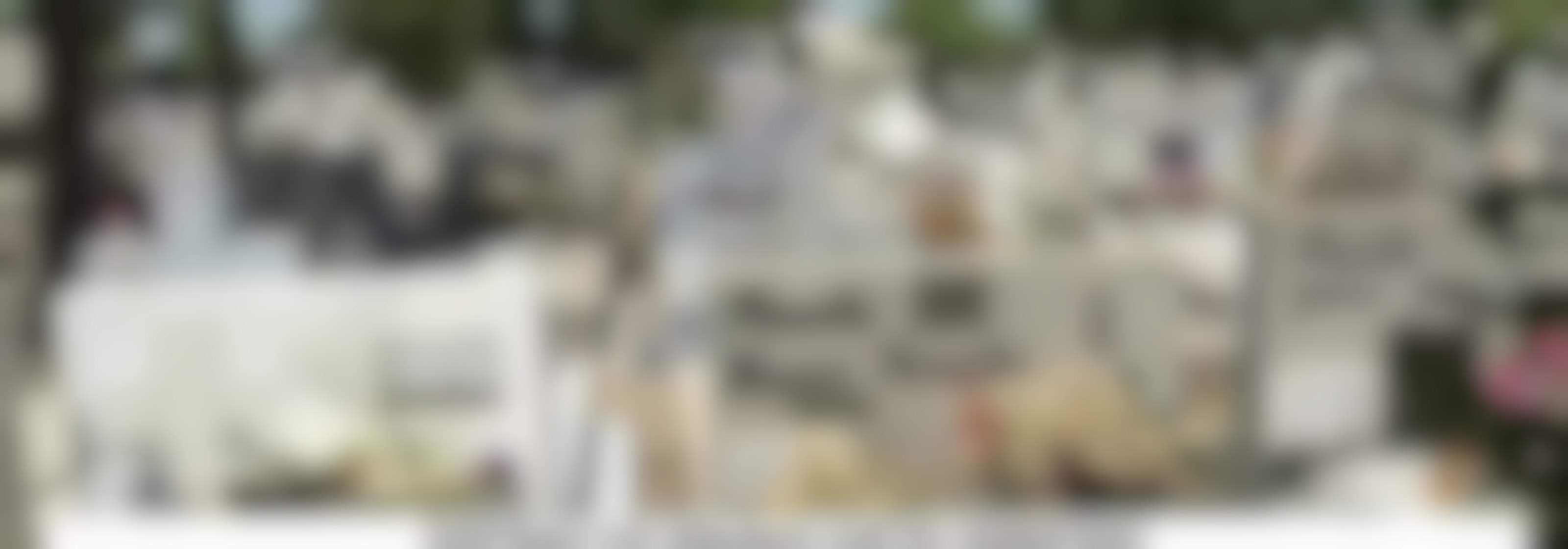 Polémica por video contra cementerio de Villa Alegre