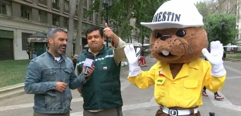 Conaf necesita nuevos brigadistas en todo Chile