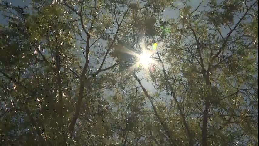 Altas temperaturas