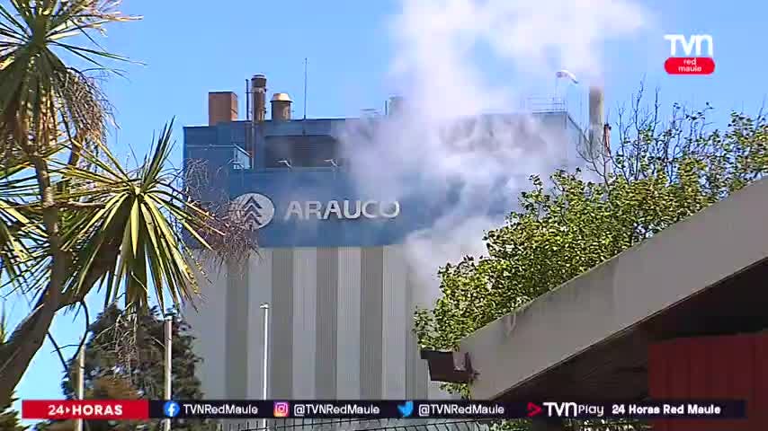 Filtración en Celulosa Arauco dejó dos afectadas