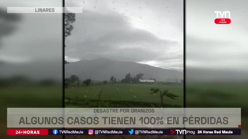 Millonarias pérdidas por caída de granizos en Linares