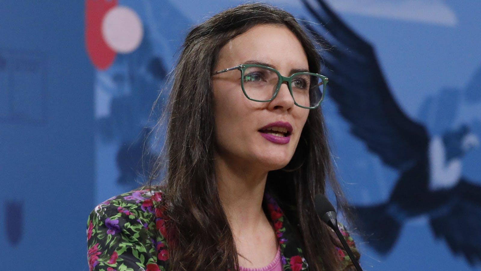 Ministra Vallejo por Ley Antiterrorista: Es una ley ineficaz que no le basta el título