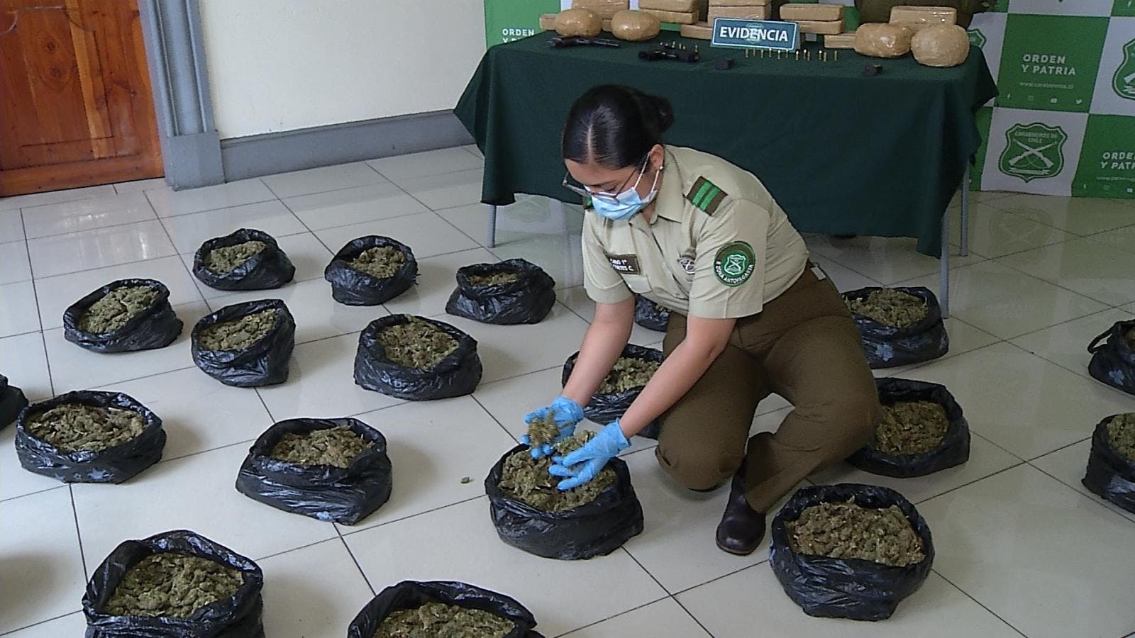 Decomisan 200 mil dosis de droga entre cocaína y marihuana