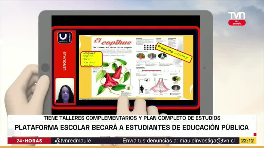 Plataforma escolar becará a estudiantes de educación pública