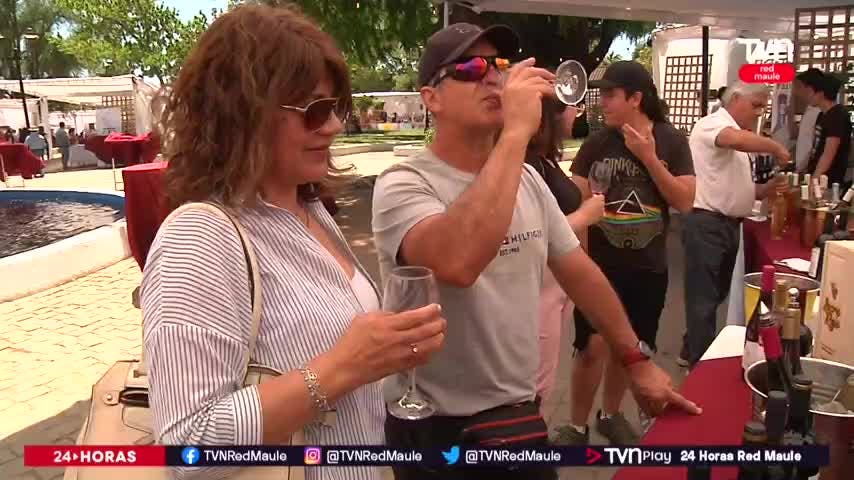 Más de 40 viñas estuvieron en fiesta de San Javier