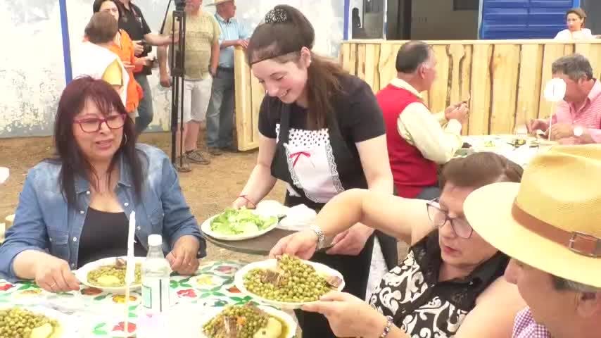 Regresa la Fiesta del Arvejado en Quillón