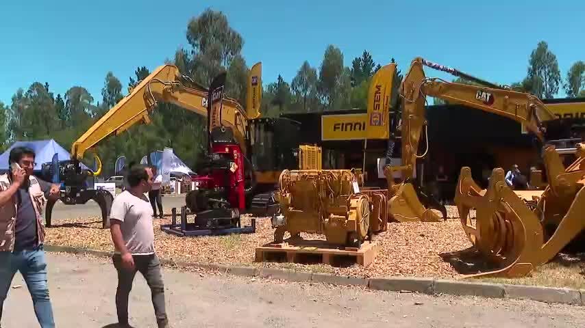 Forestales a la expectativa de nueva politica de fomento