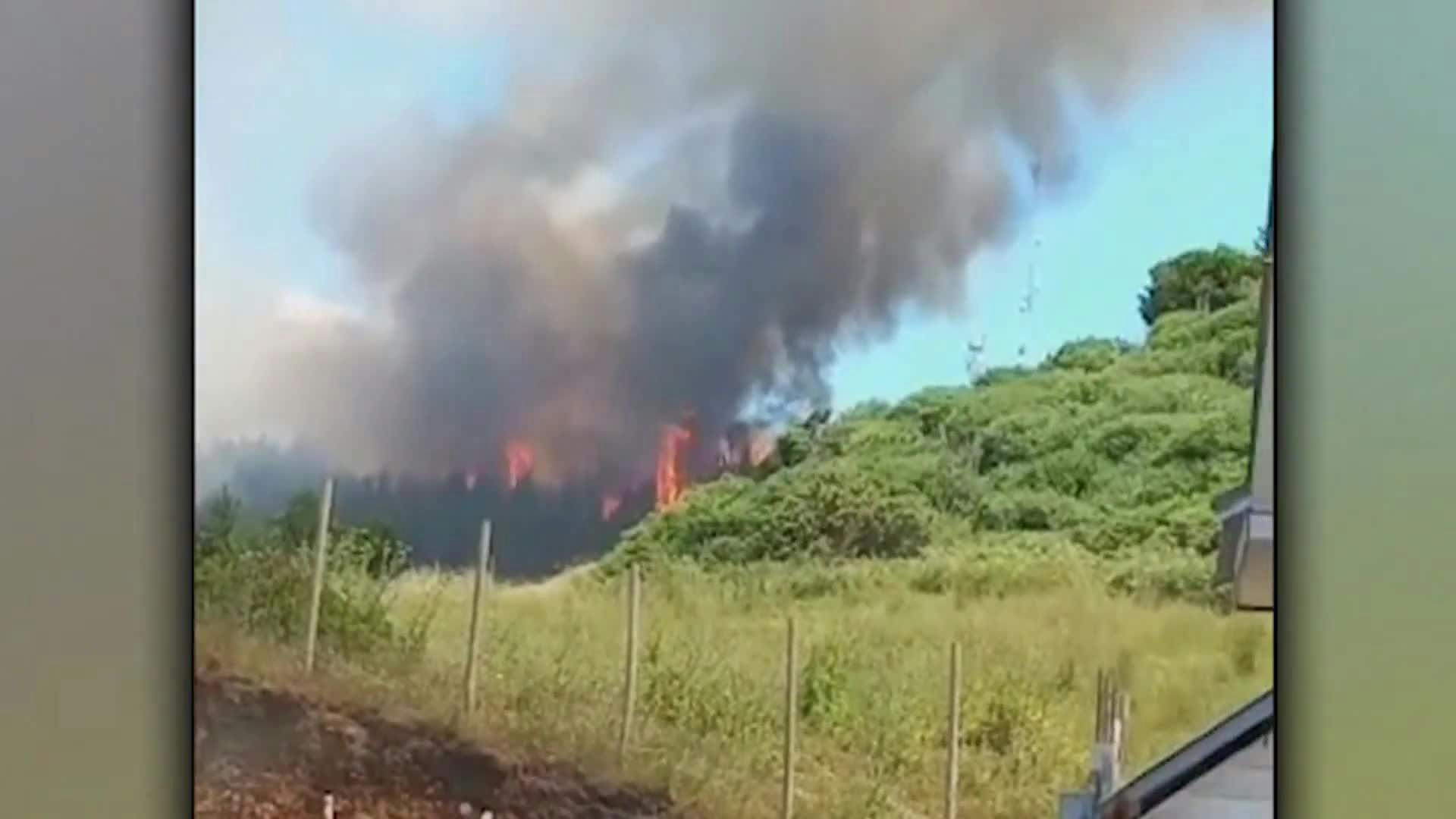 Detienen a supuesto autor de incendio forestal en Arauco