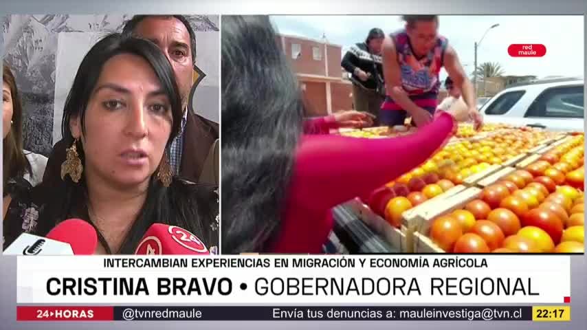 Gobiernos regionales de Maule y Arica y Parinacota intercambian experiencias