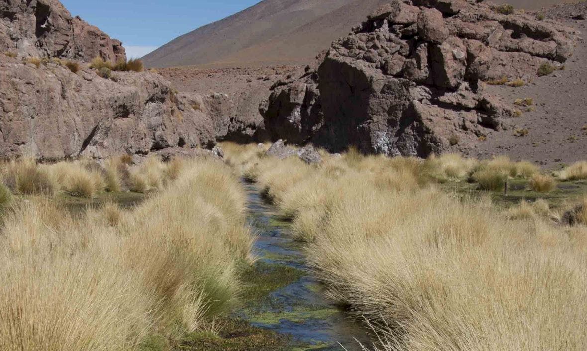 Analista internacional tras fallo por caso Silala: Para Chile y Bolivia es un muy buen resultado