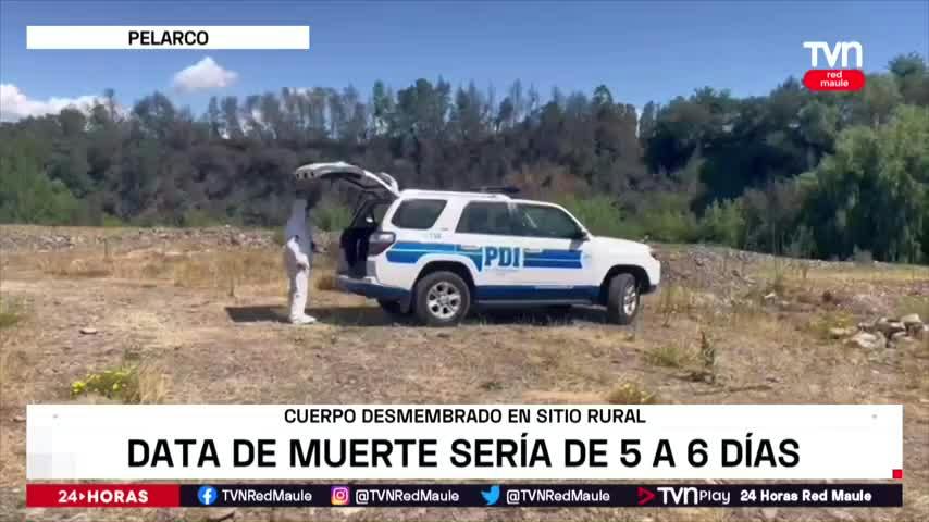 Impacto por hallazgo de cuerpo desmembrado en Pelarco