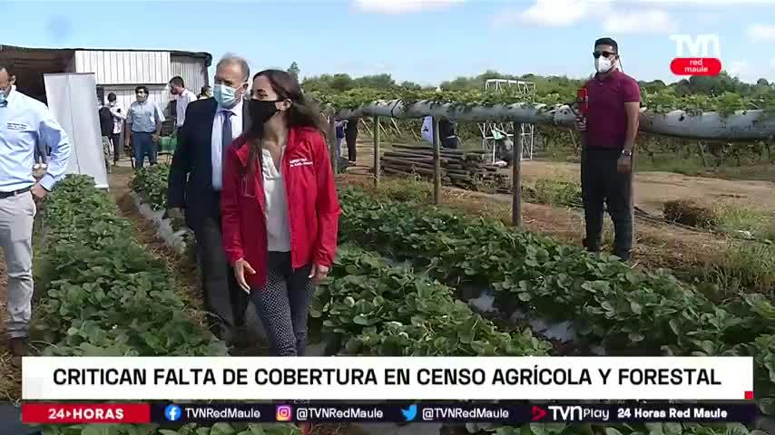 28% del censo agrícola y forestal no fue logrado en el Maule