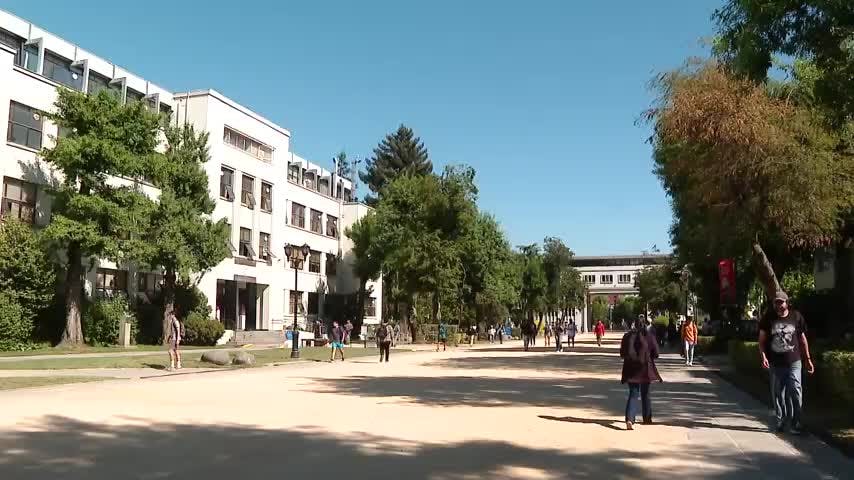 Nuevo registro de agresión bajo Campanil