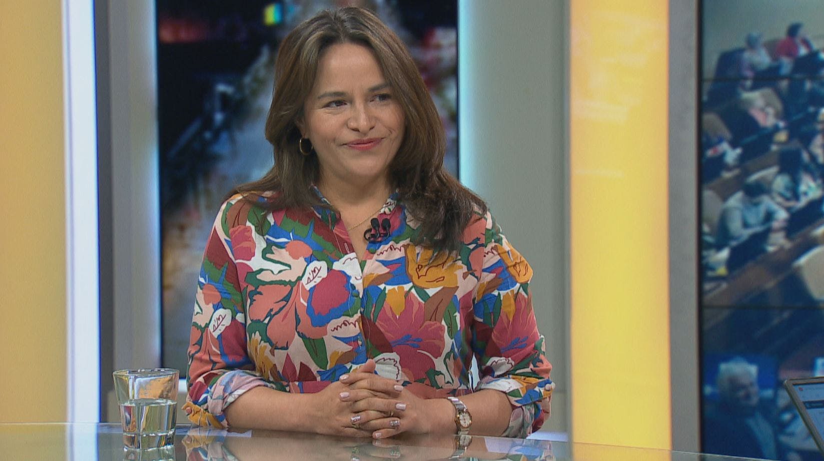 Diputada Pérez tras renuncia a su militancia: La DC tiene que entender que abandonó a un electorado