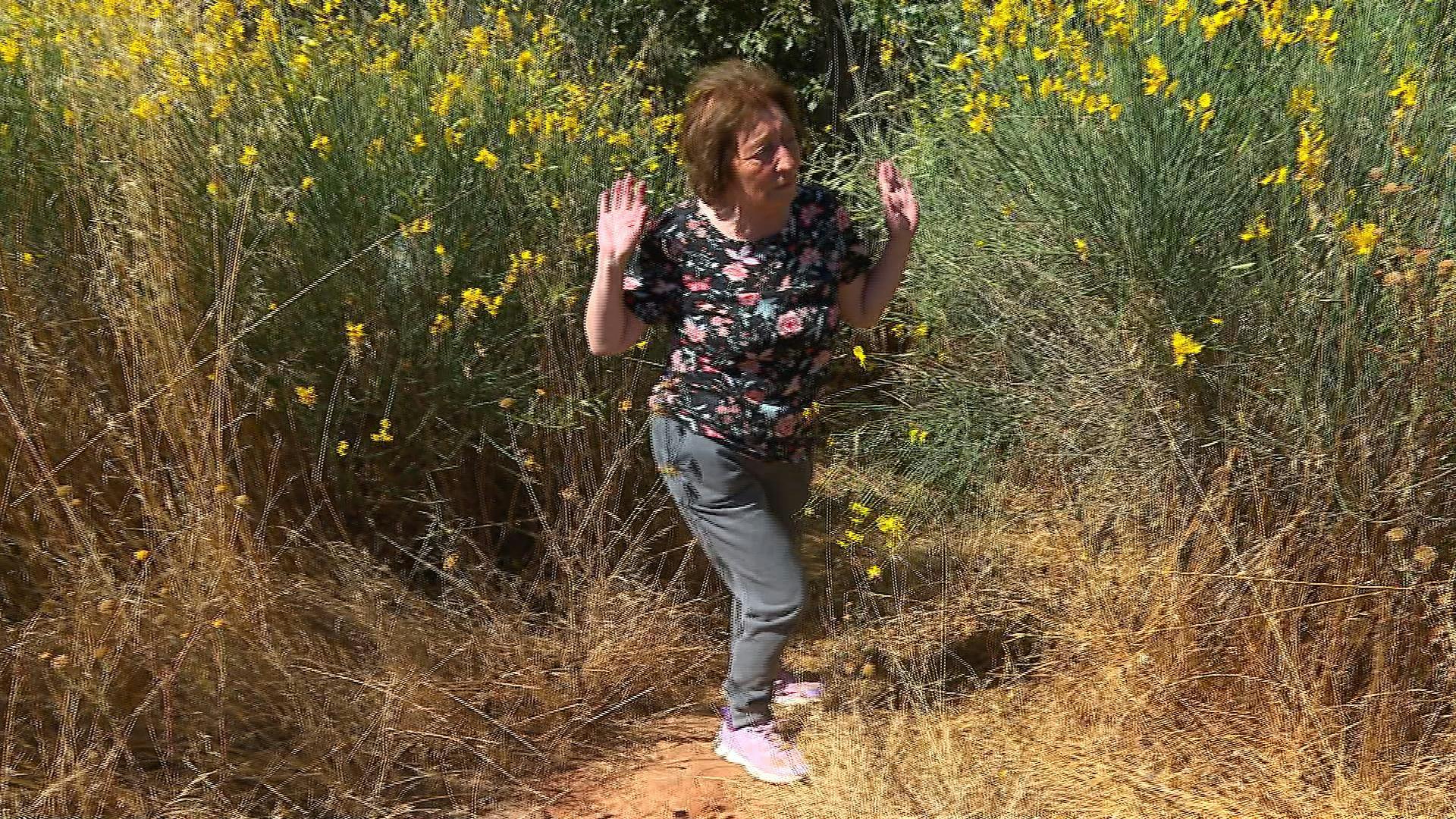 Vecina arriesga multa por botar pasto seco en contenedores de basura