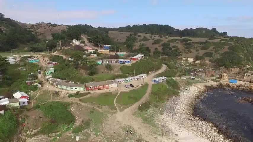 Escolares aprenden sobre las ballenas en Chome 
