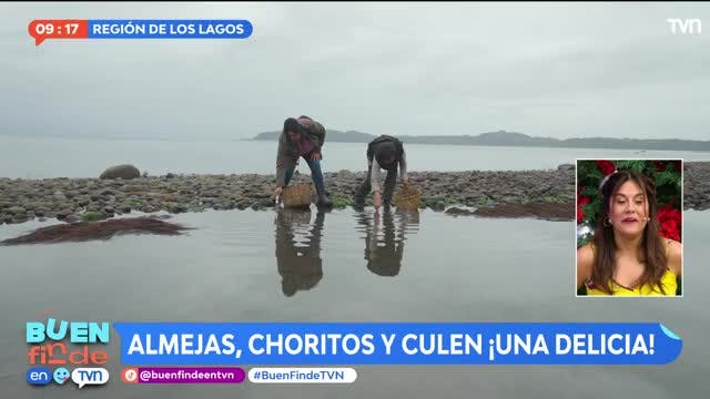 Buen Finde - Sábado 10 de diciembre