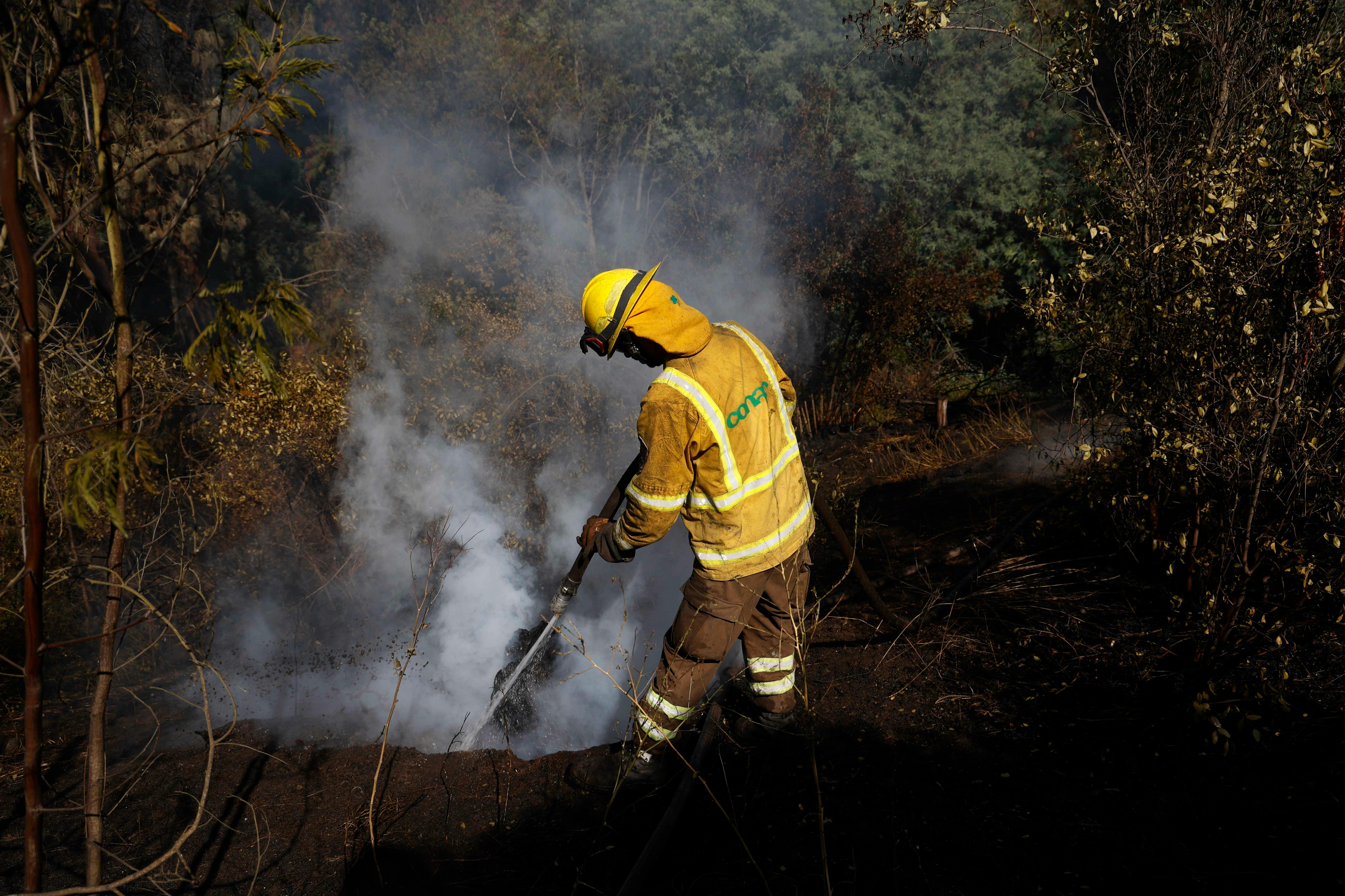 Ministro de Agricultura por incendios forestales: El 99% a nivel mundial son culpa del hombre