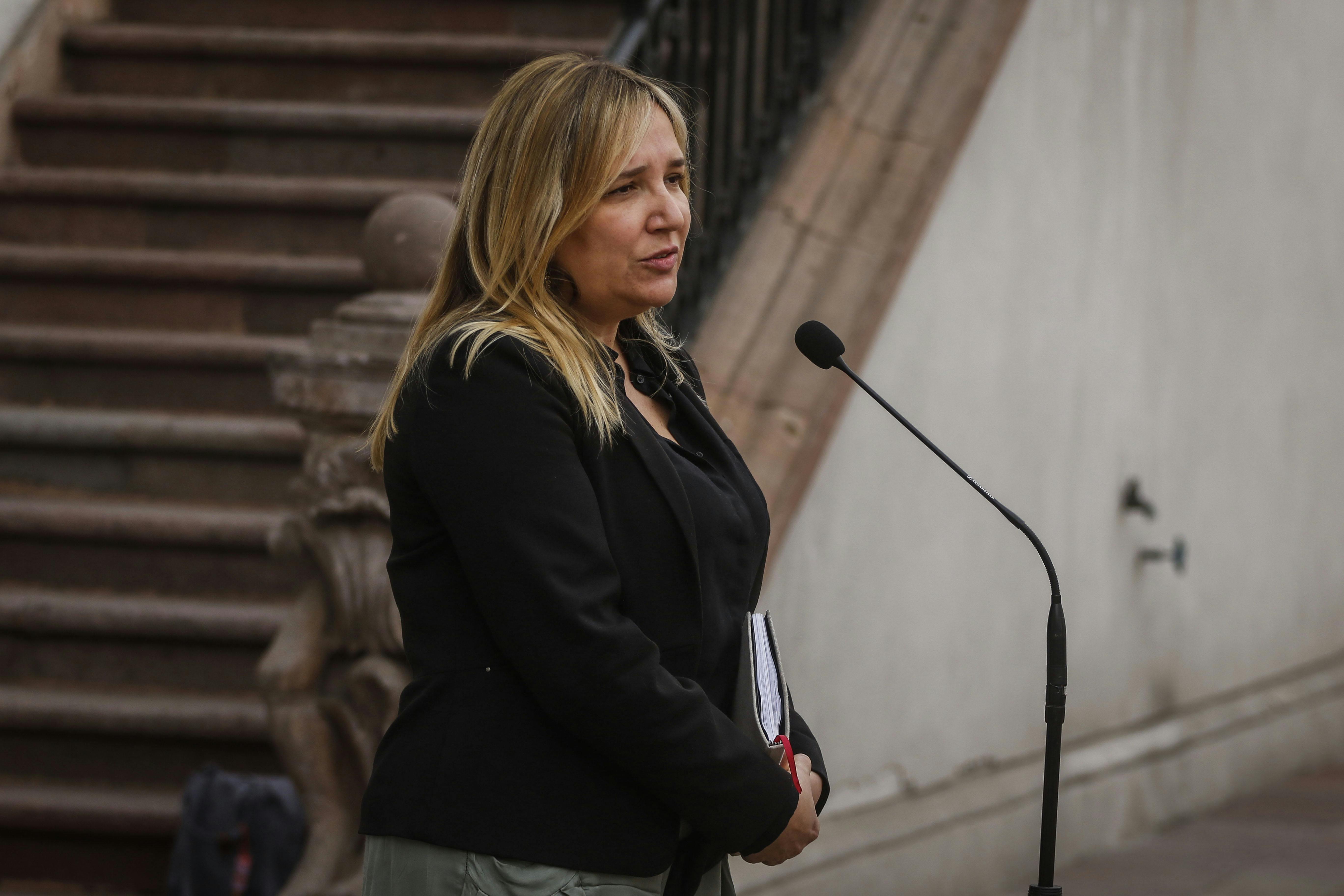 Hoffmann y 'Acuerdo por Chile': Se asumen todos los errores que se cometieron en el proceso anterior