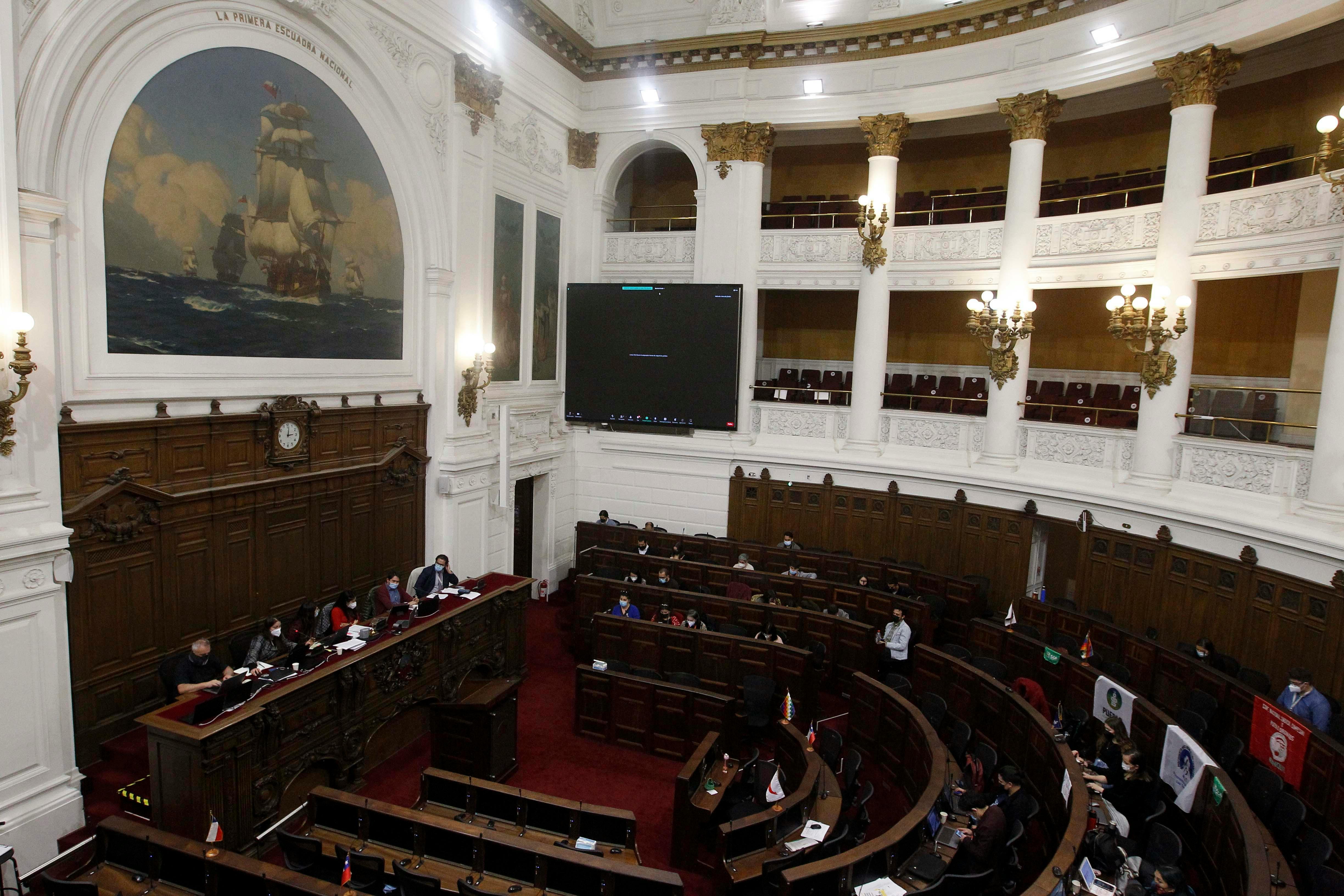 Académica por Consejo Constitucional: No representa plenamente el poder constituyente soberano