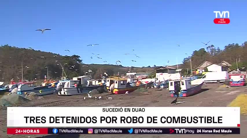Sintesis - 13 de Diciembre | Red Maule