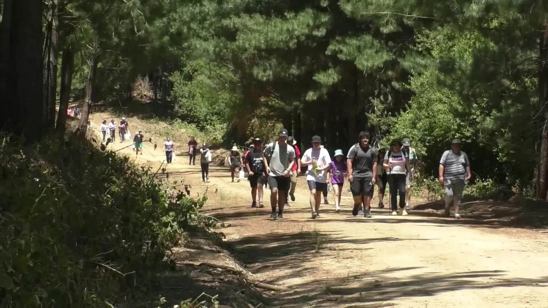 Santa Juana habilita senderos para trekking