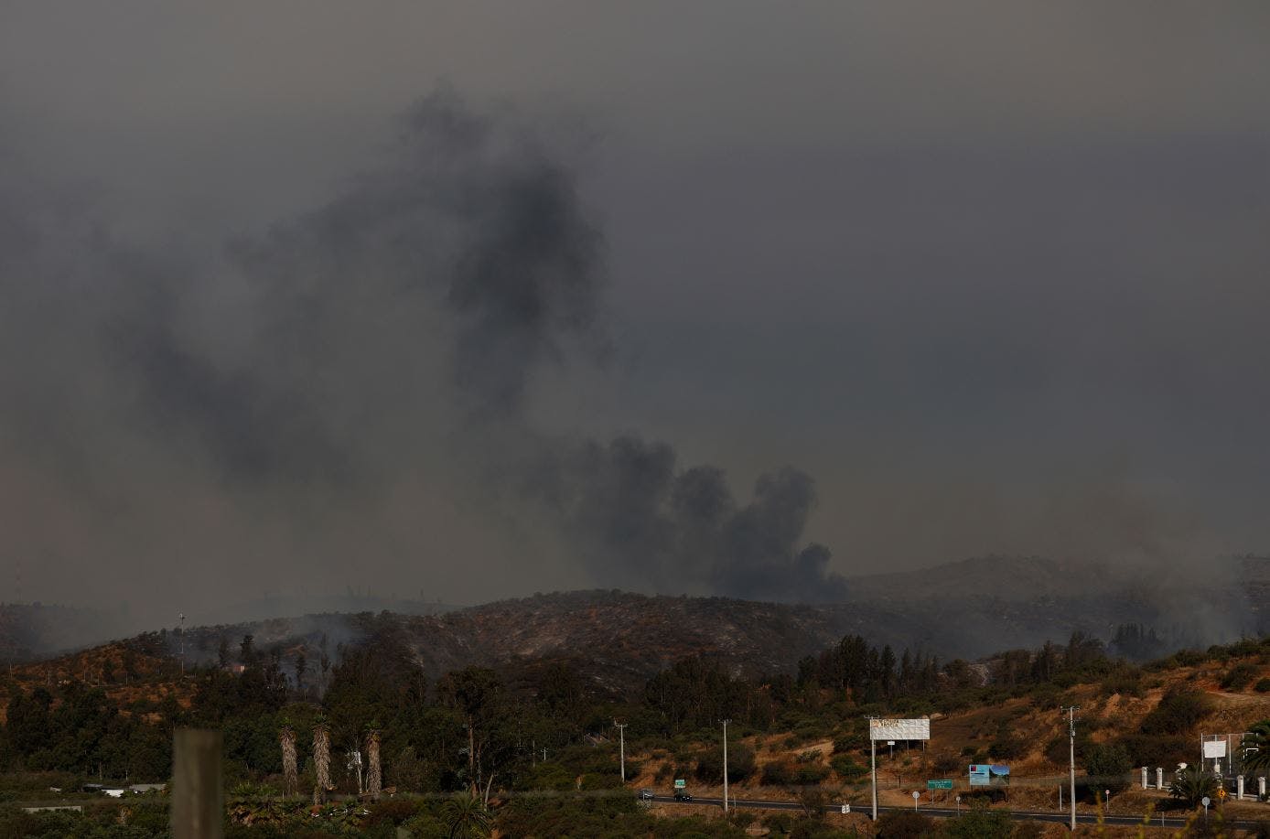 Gobernador de Valparaíso por incendios forestales: Medidas preventivas y de seguridad van a ser esenciales