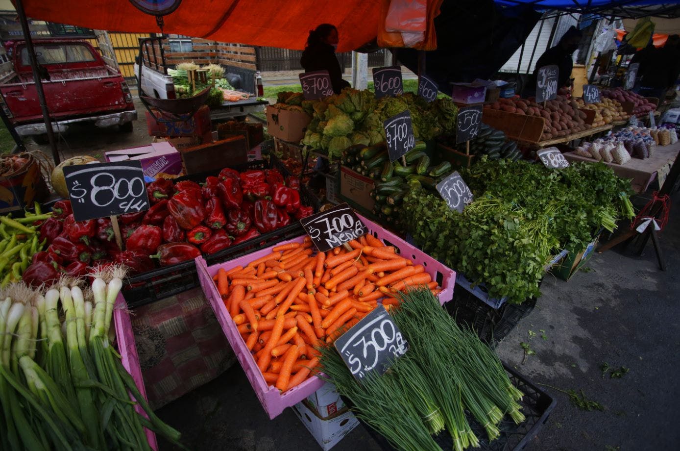 Académico por alza de canasta básica de alimentos: Incide fuertemente en el bienestar de la familia