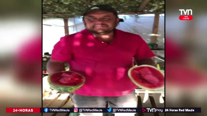 Temporada de sandías: ¿se garantiza la calidad?