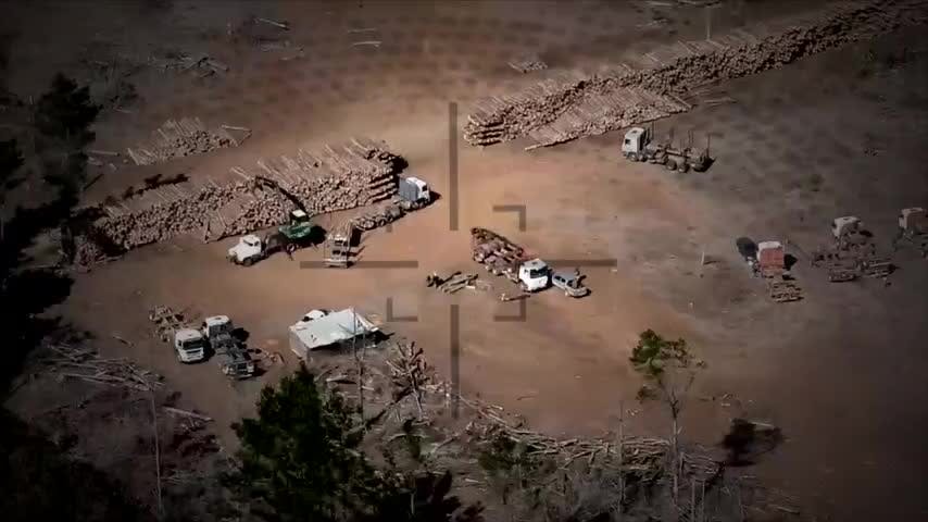Comisión Investigadora de Robo de Madera entregó su informe