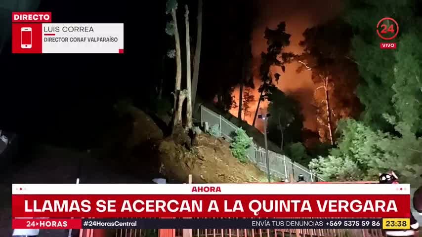 Conaf entregó balance preliminar por incendio en Viña del Mar: El fuego arrasó 110 hectáreas