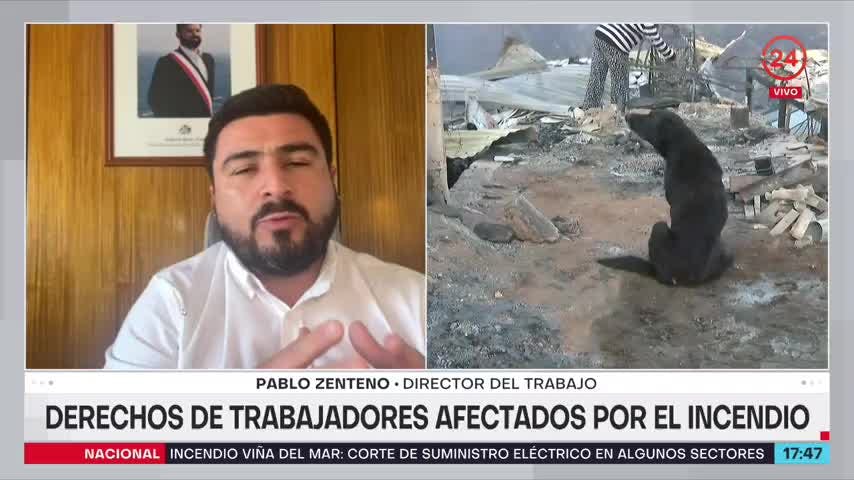 Director del trabajo: Un despido por ausencia sería injustificado