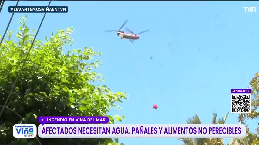 Incendio en Viña del Mar: Las principales necesidades de los afectados